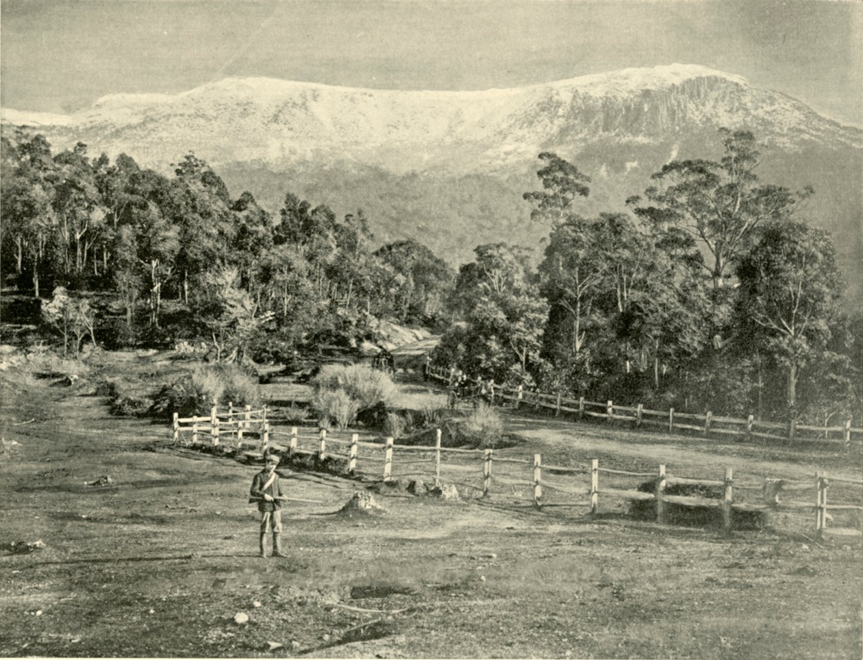 Mount Wellington, från Huon Road, 1901. av Unbekannt