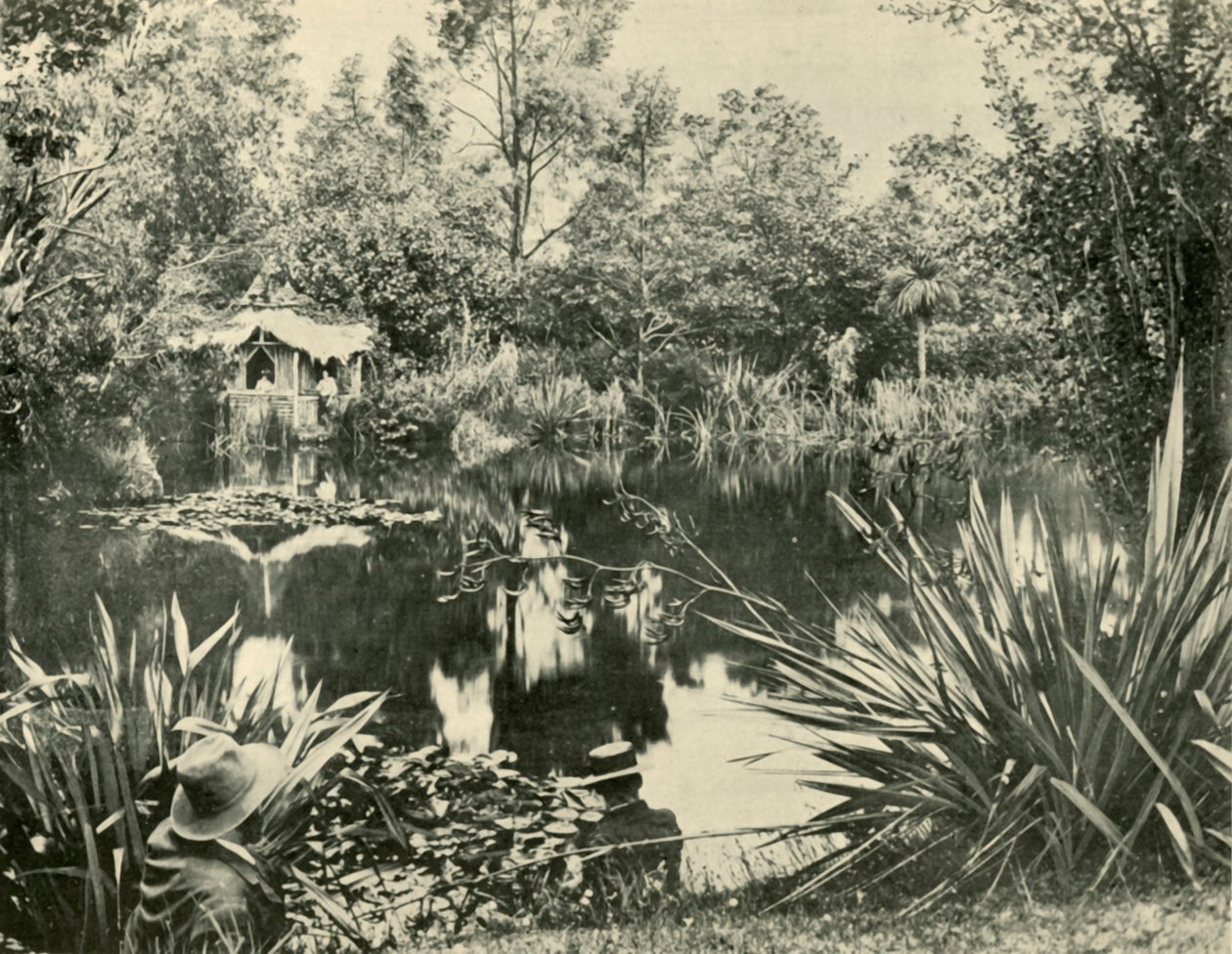 Mr. Ryans Gardens, Mount Macedon, Victoria, 1901. av Unbekannt