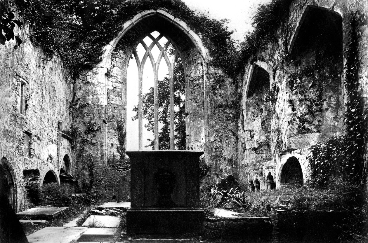 Muckross Abbey, Killarney, c1882 av Unbekannt