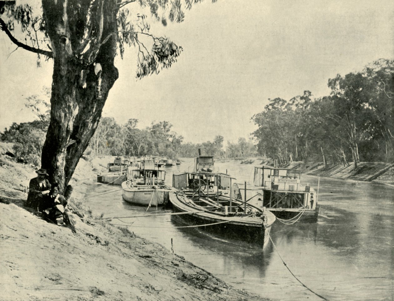 Murray pråmar och ångbåtar vid Echuca, 1901. av Unbekannt