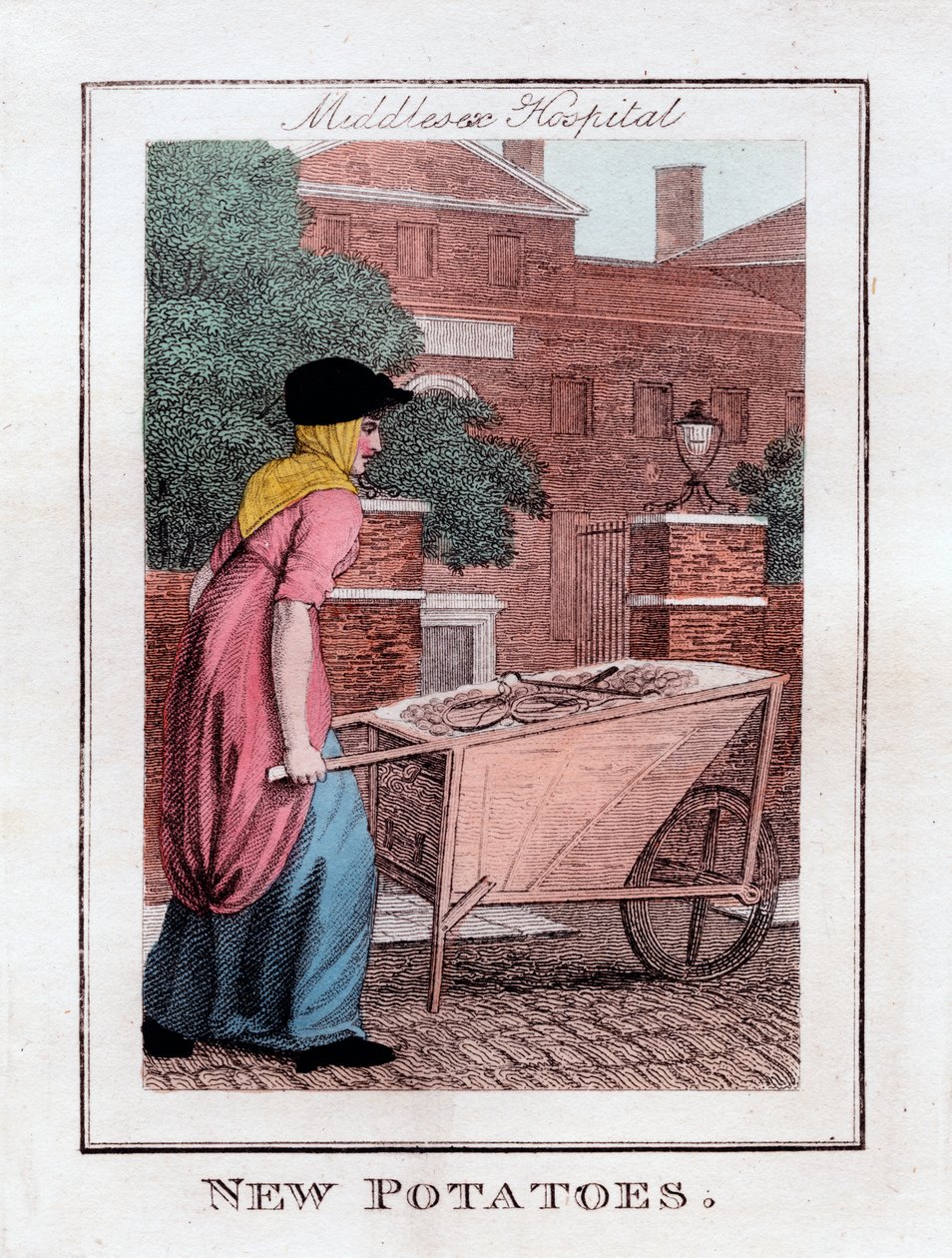 Nypotatis, Middlesex Hospital, London, 1805 av Unbekannt