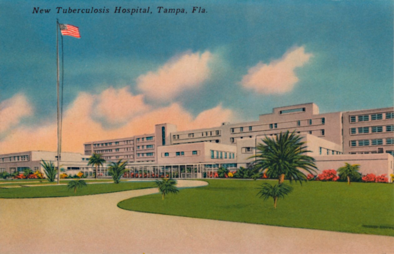 New Tuberculosis Hospital, Tampa, Florida, c1940-talet av Unbekannt