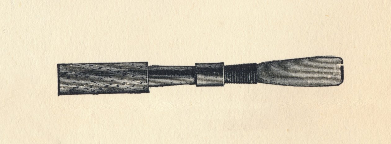 Kom ihåg Ray d, 1895. av Unbekannt