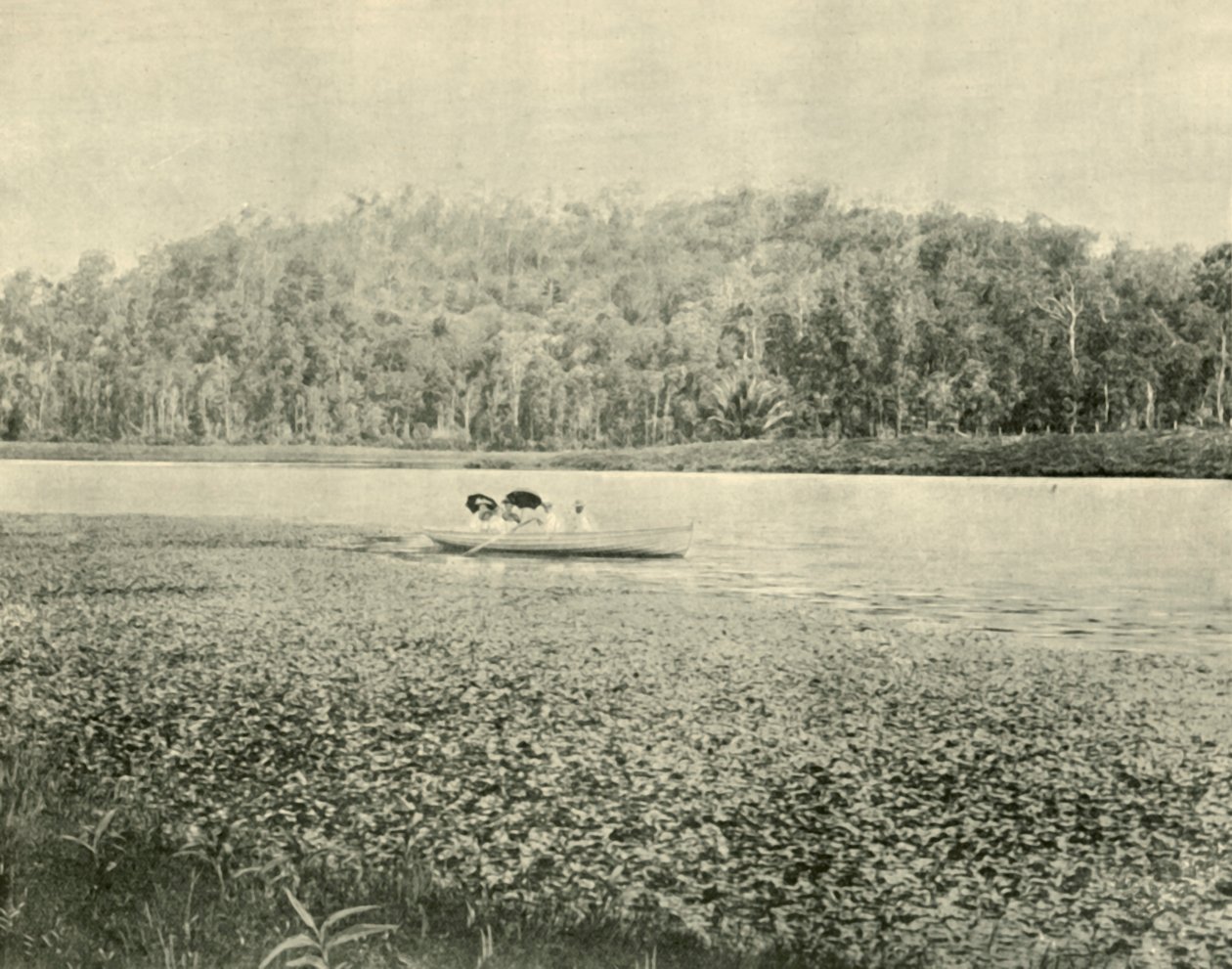 På Enoggerasjön, 1901. av Unbekannt