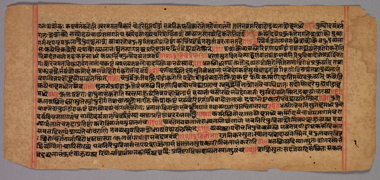 Sidor från ett Jaina-manuskript, 1400-1500-tal. av Unbekannt