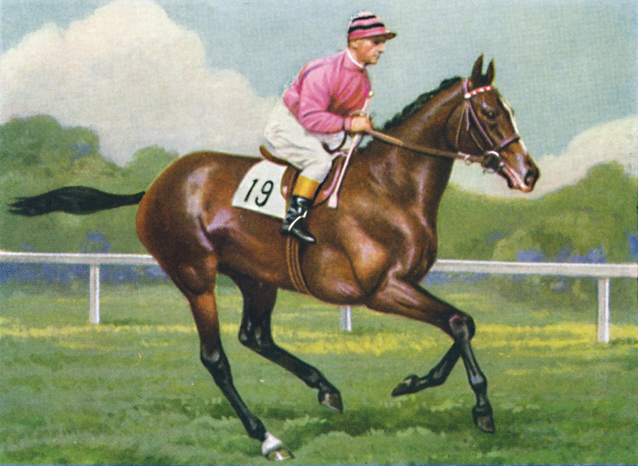 Pasch, Jockey: G. Richards, 1939 av Unbekannt