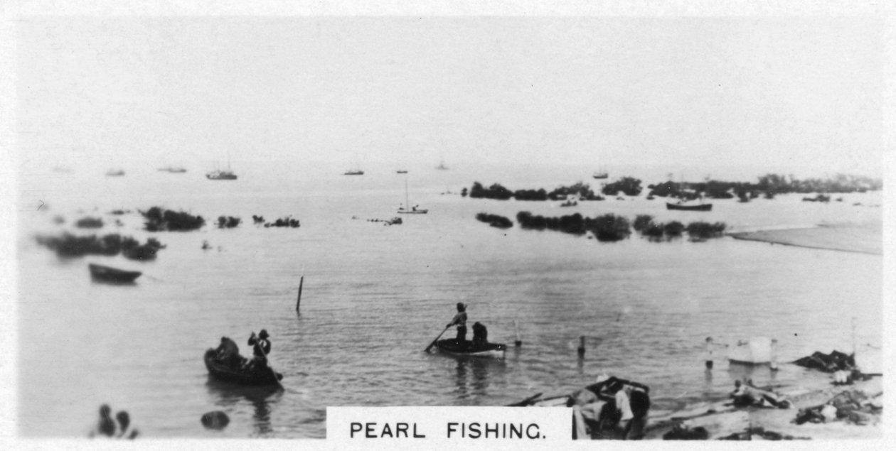 Pärlfiske, Australien, 1928 av Unbekannt