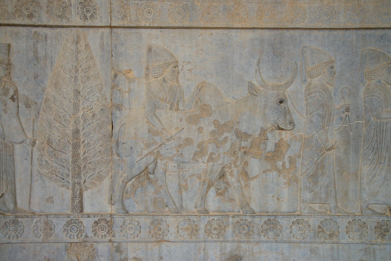 Persepolis, Iran (foto) av Unbekannt