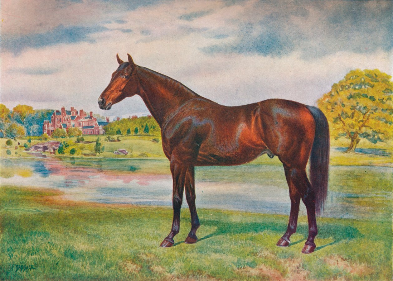 Persimmon, c1905 c1910 av Unbekannt