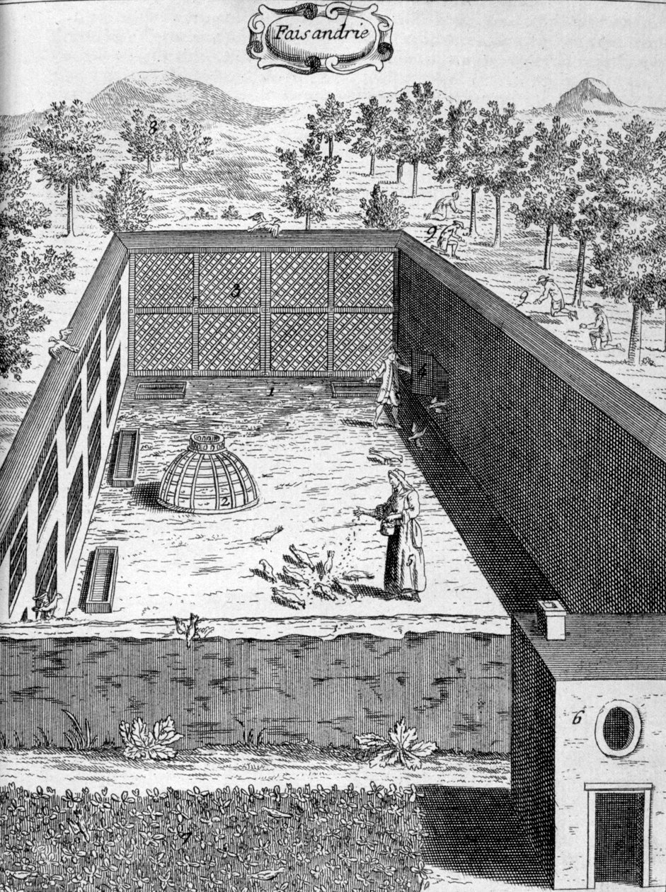 Fasaneriet, 1775 av Unbekannt