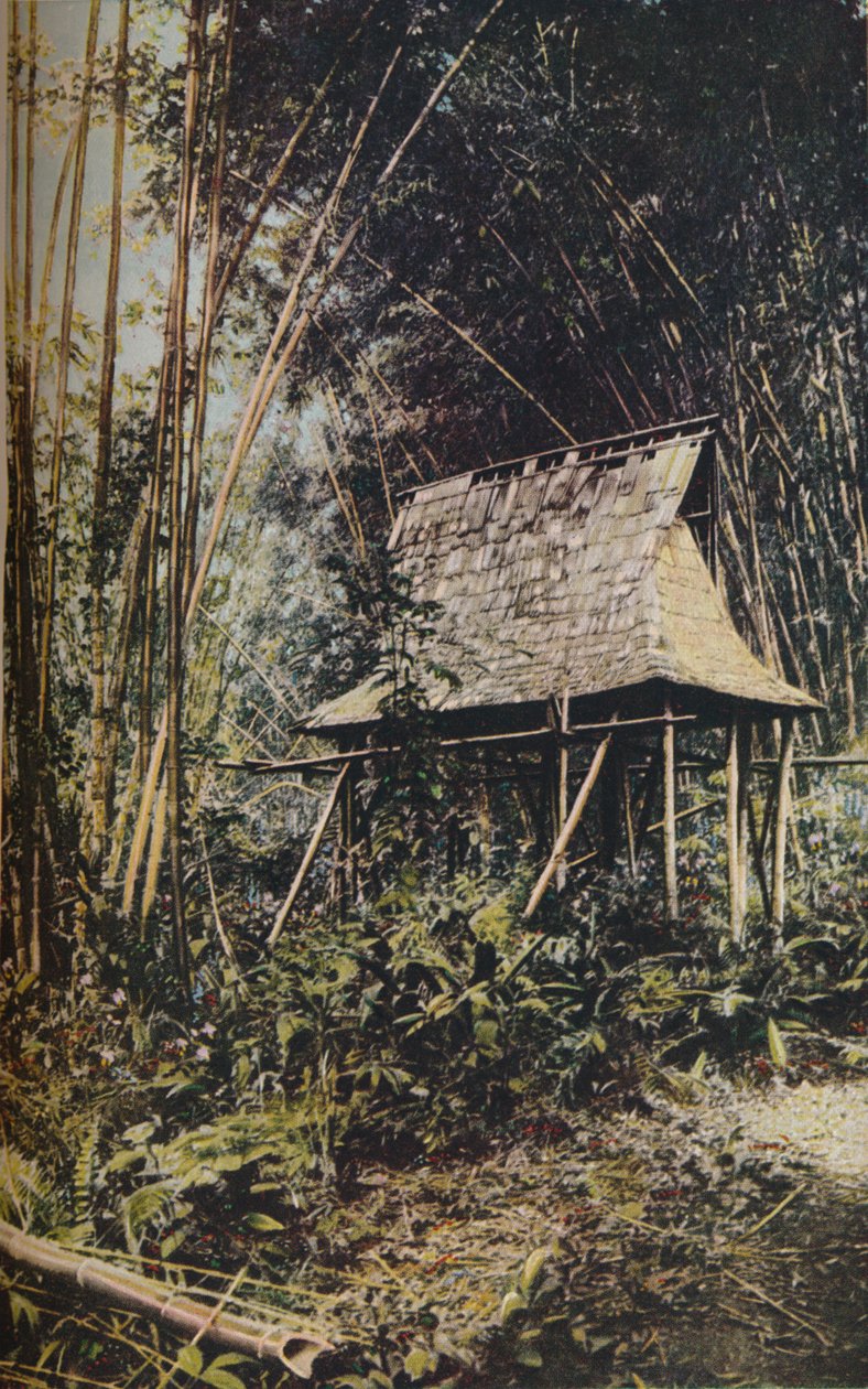 Filippinska öarna, ca 1930-talet av Unbekannt
