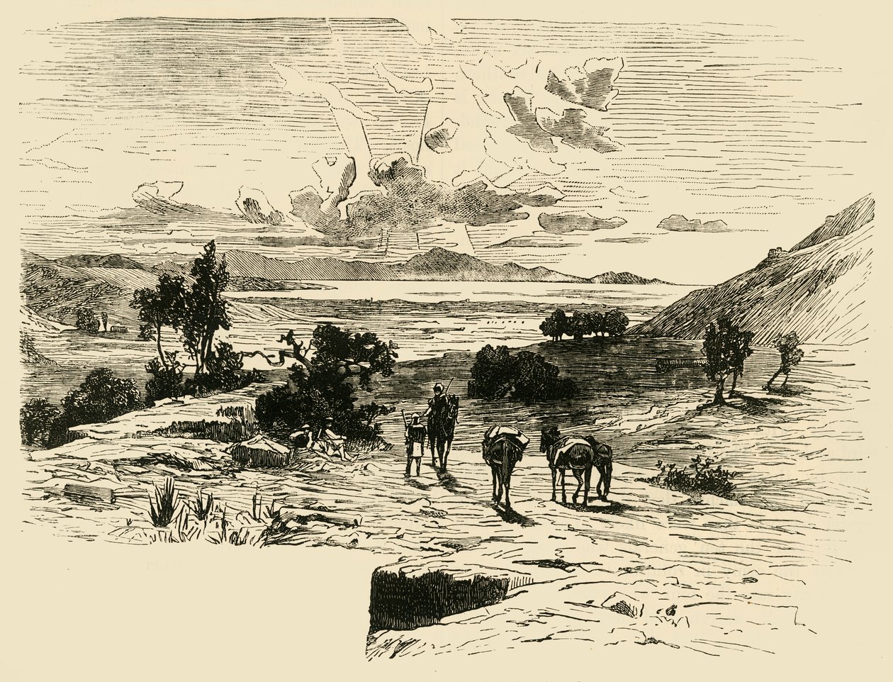 Maratonslätten, 1890. av Unbekannt