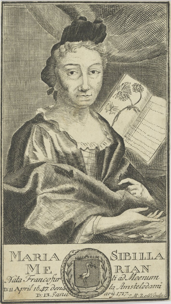 Porträtt av Maria Sibylla Merian 1647-1717, 1755. av Unbekannt