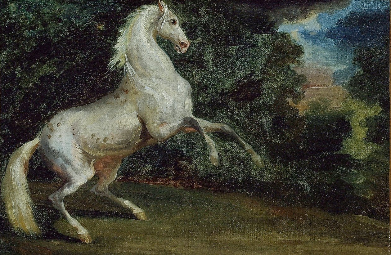 Stigande häst, 180812. av Unbekannt