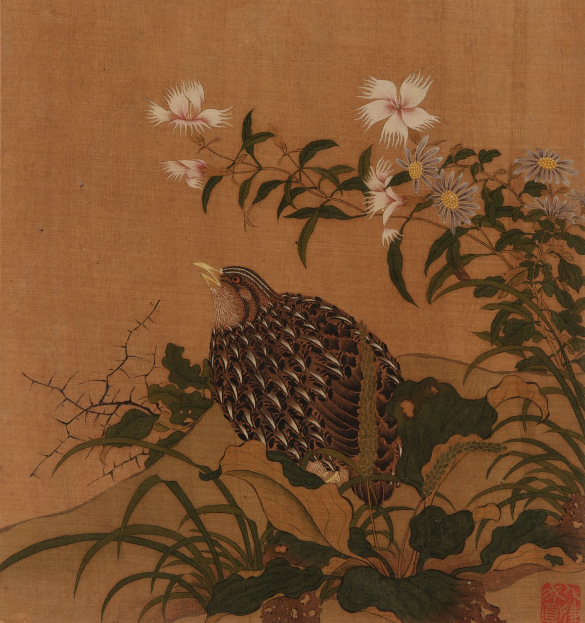 Vaktel och blommor, Qingdynastin, 1700-talet. av Unbekannt