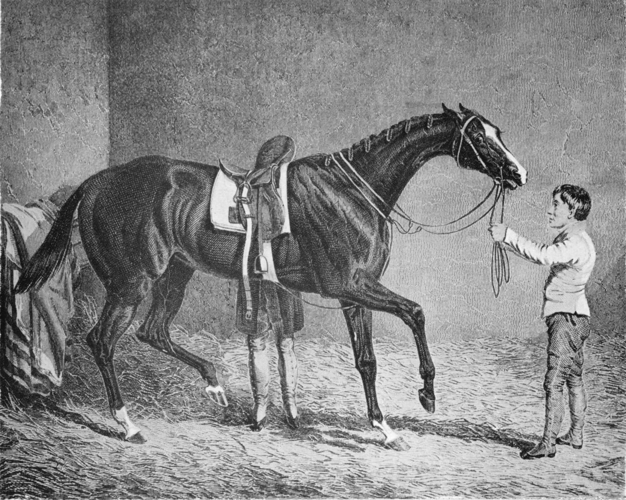 Trumps drottning, 1832-1843, 1911 av Unbekannt