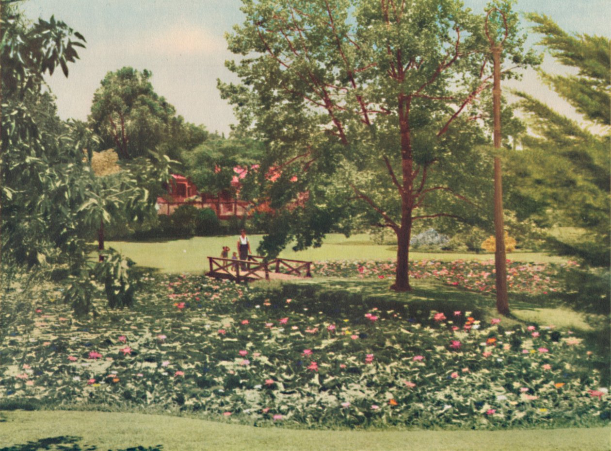 Queens Gardens, c1947. av Unbekannt