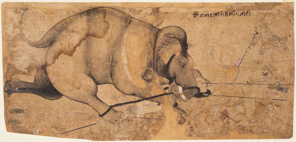 Rao Ram Simhas Elephant Gai Amak, ca. 1500 av Unbekannt