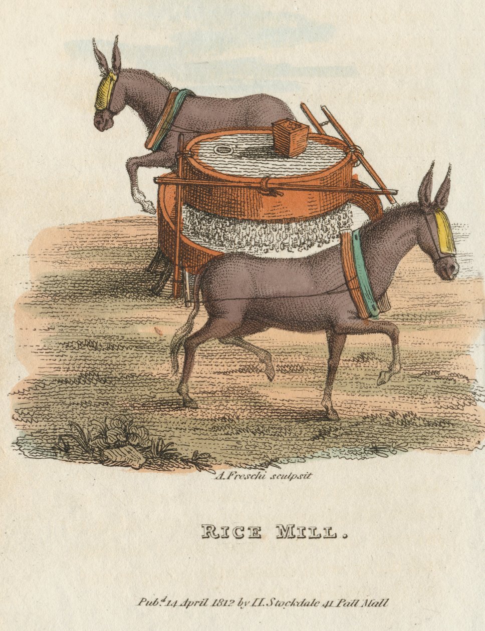 Riskvarn, 1813 av Unbekannt