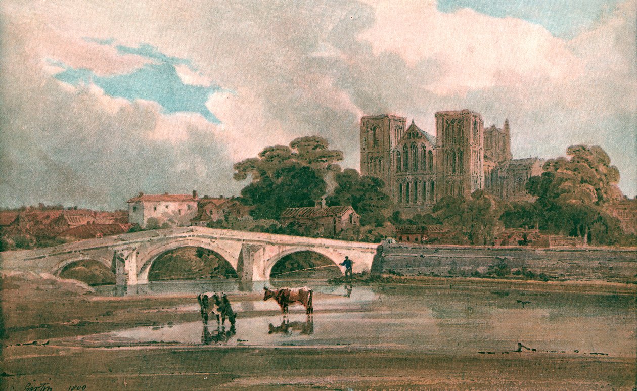 Ripons katedral, c1800, c1900. av Unbekannt