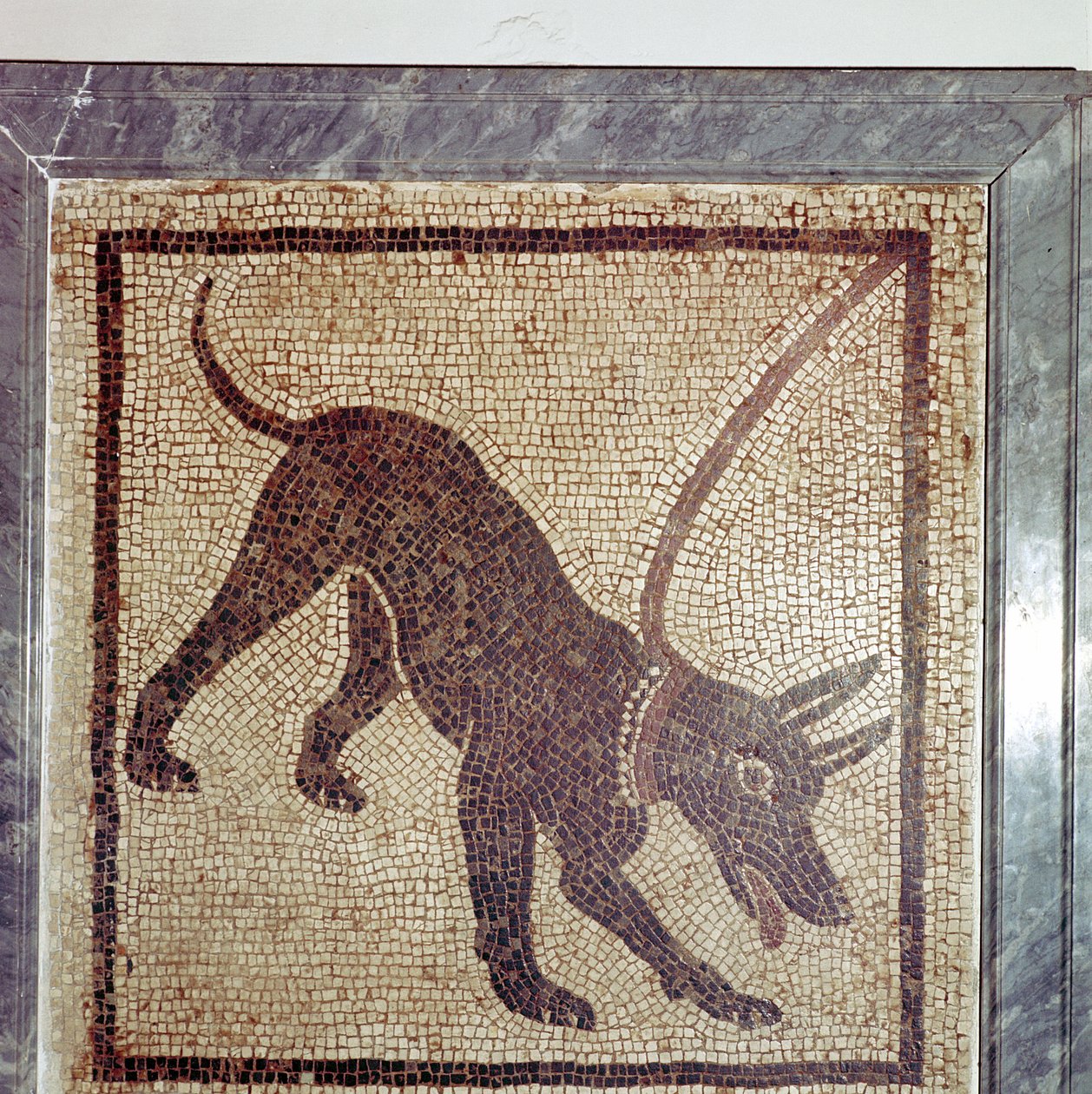 Romersk mosaik av hund, Cave Canem, Pompeji, Italien av Unbekannt