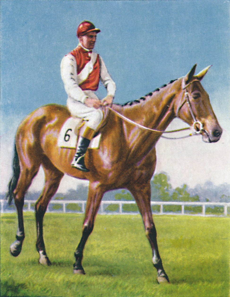 Royal Danieli, Jockey: D. Moore, 1939 av Unbekannt