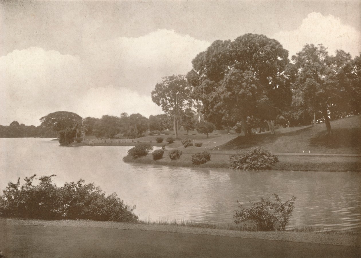 Royal Lakes, Rangoon, 1900. av Unbekannt