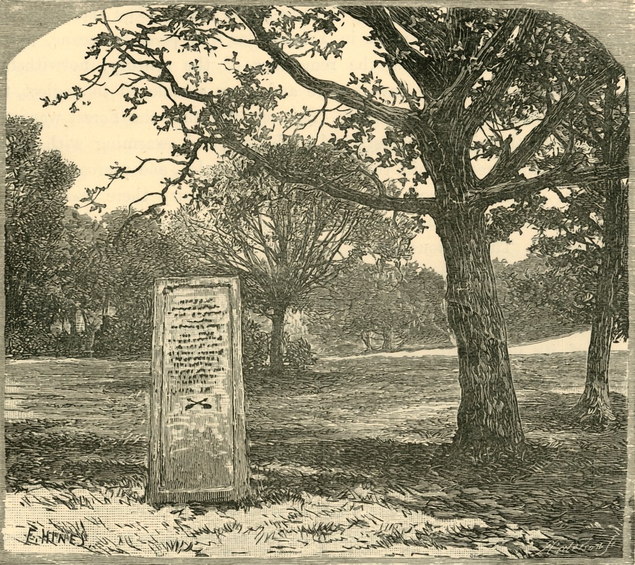 Rufus sten, 1898. av Unbekannt