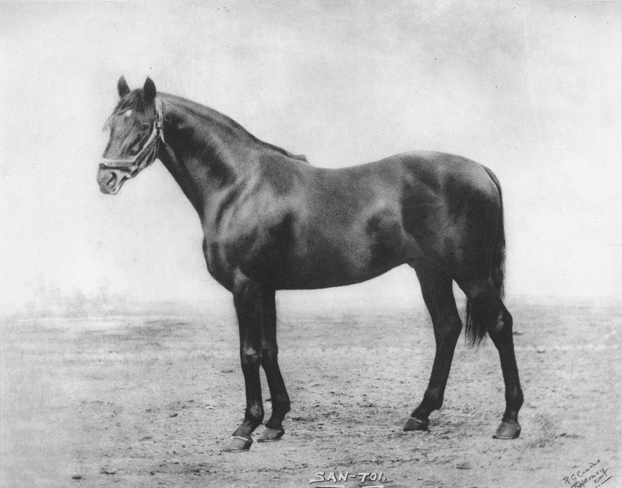 San-Toi, 1911 av Unbekannt
