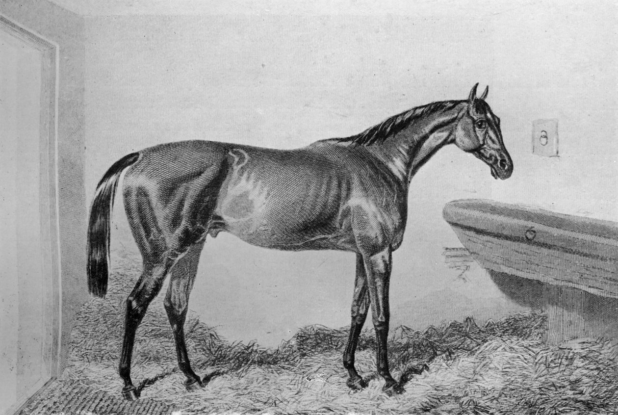 Såslåda, c1840-1880, 1911 av Unbekannt