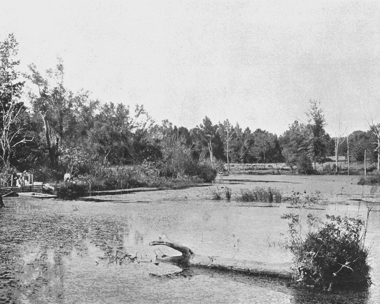 Scen i Mississippi, USA, c1900. av Unbekannt