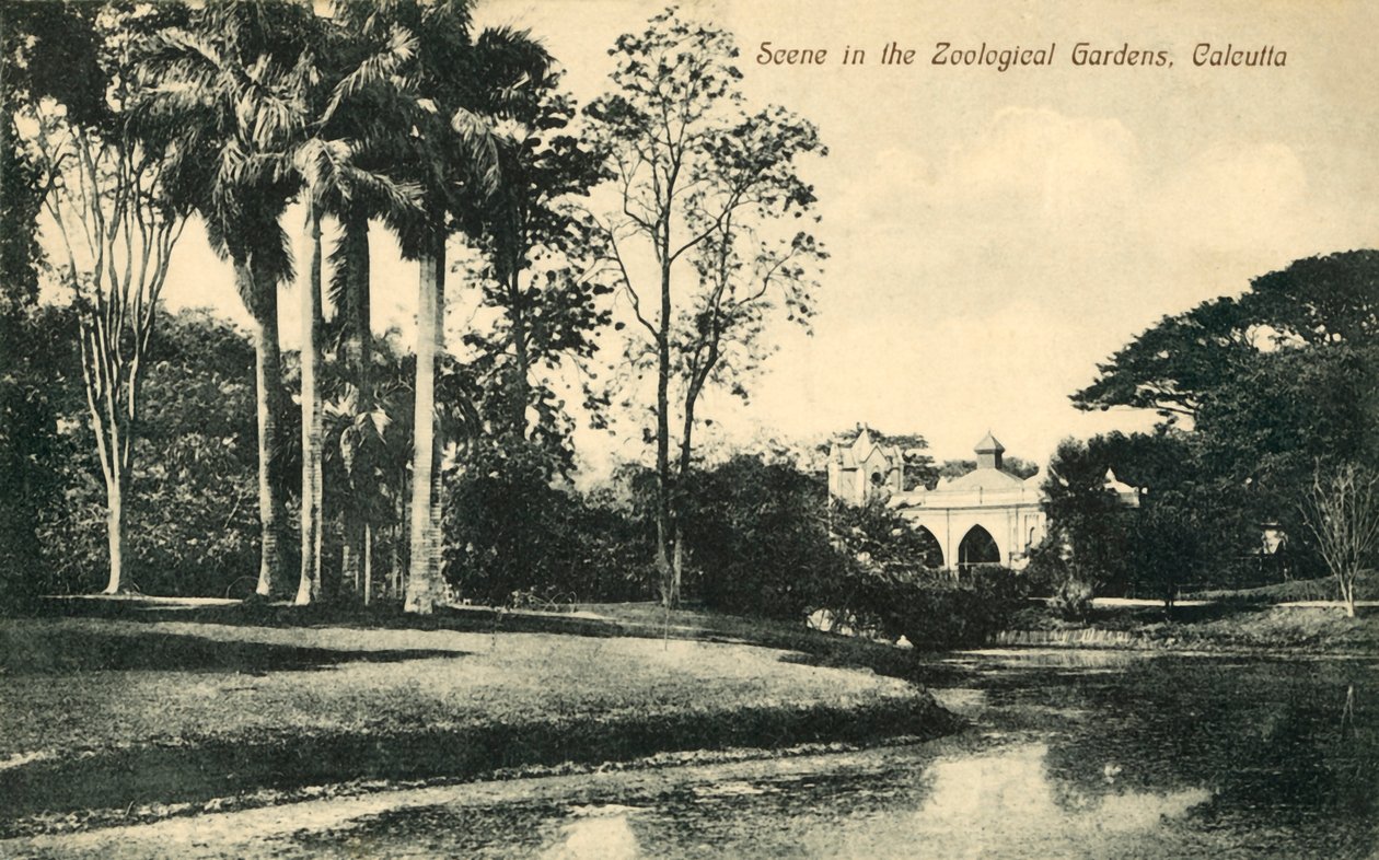 Scen i Zoological Gardens, Calcutta. av Unbekannt