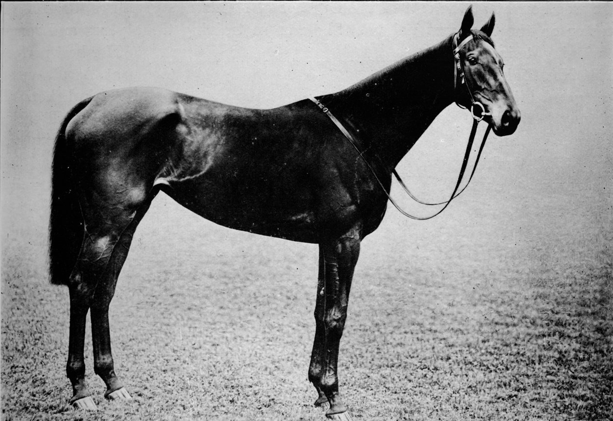 Scepter, 1899-1926, 1911 av Unbekannt