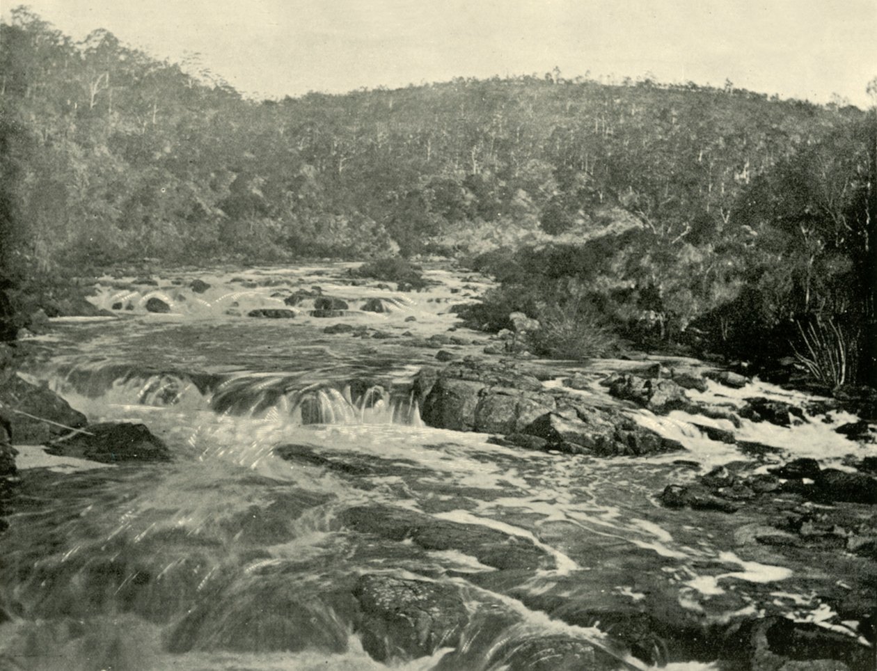 Andra bassängen, South Esk River, 1901. av Unbekannt
