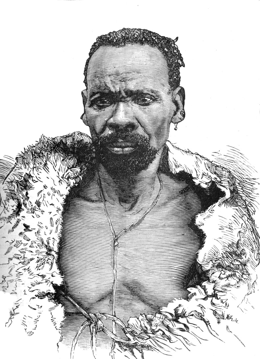 Trä, c1880 av Unbekannt