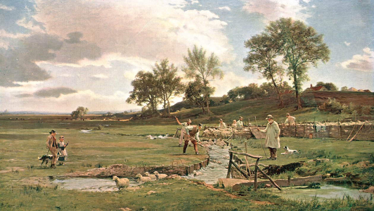 Fårtvätt i Sussex, c1889, c1902. av Unbekannt