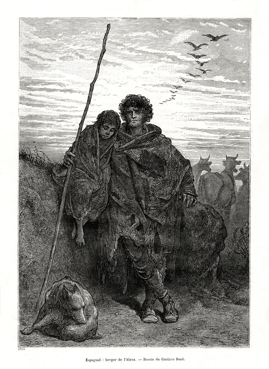 Shepherd of Alava, Spanien, 1886 av Unbekannt