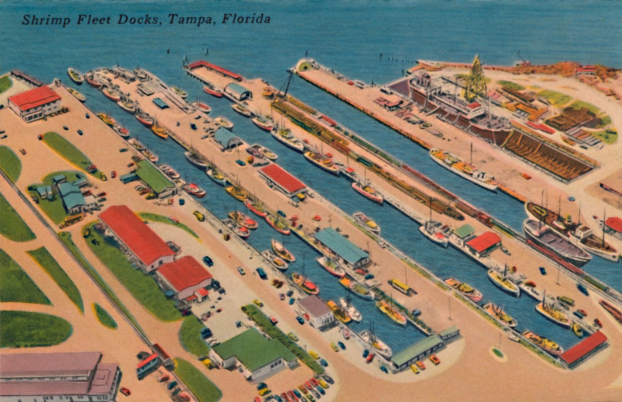 Shrimp Fleet Docks, Tampa, Florida, 1940-talet av Unbekannt