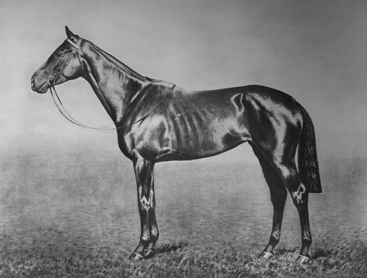 Fröken, 1905-1928, 1911 av Unbekannt
