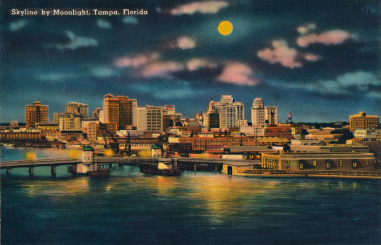Skyline by Moonlight, Tampa, Florida, c1940-talet av Unbekannt