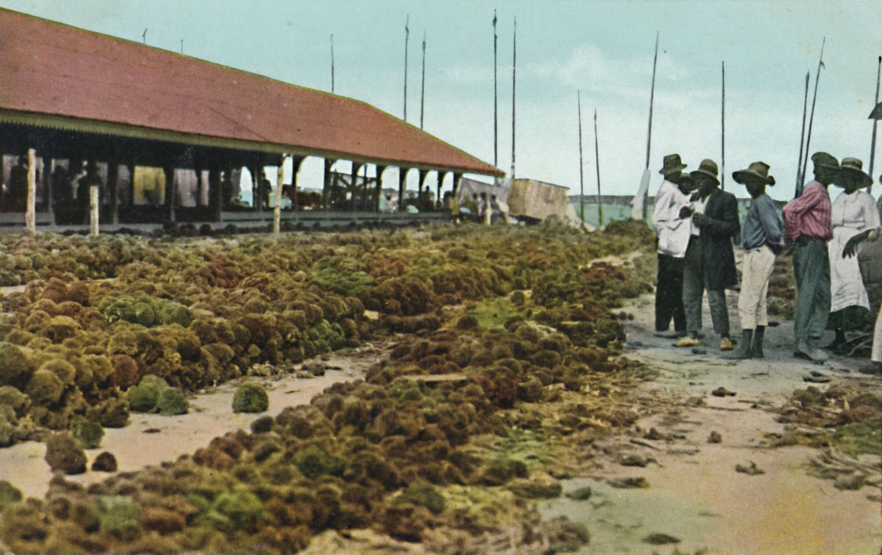 Sponge Market, Nassau, Bahamas, 1930-talet. av Unbekannt