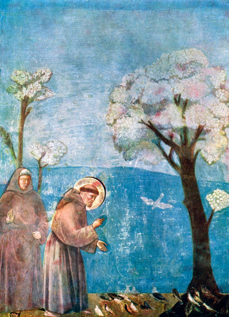 St Francis predikar för fåglarna, 1297-1299, c1900-1920 av Unbekannt