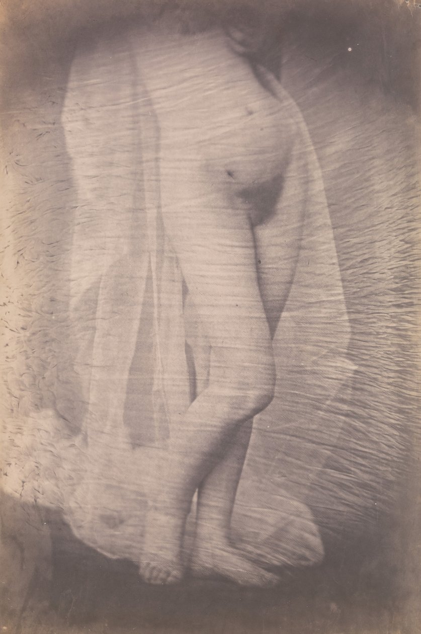 [stående kvinna naken], ca. 1856. av Unbekannt