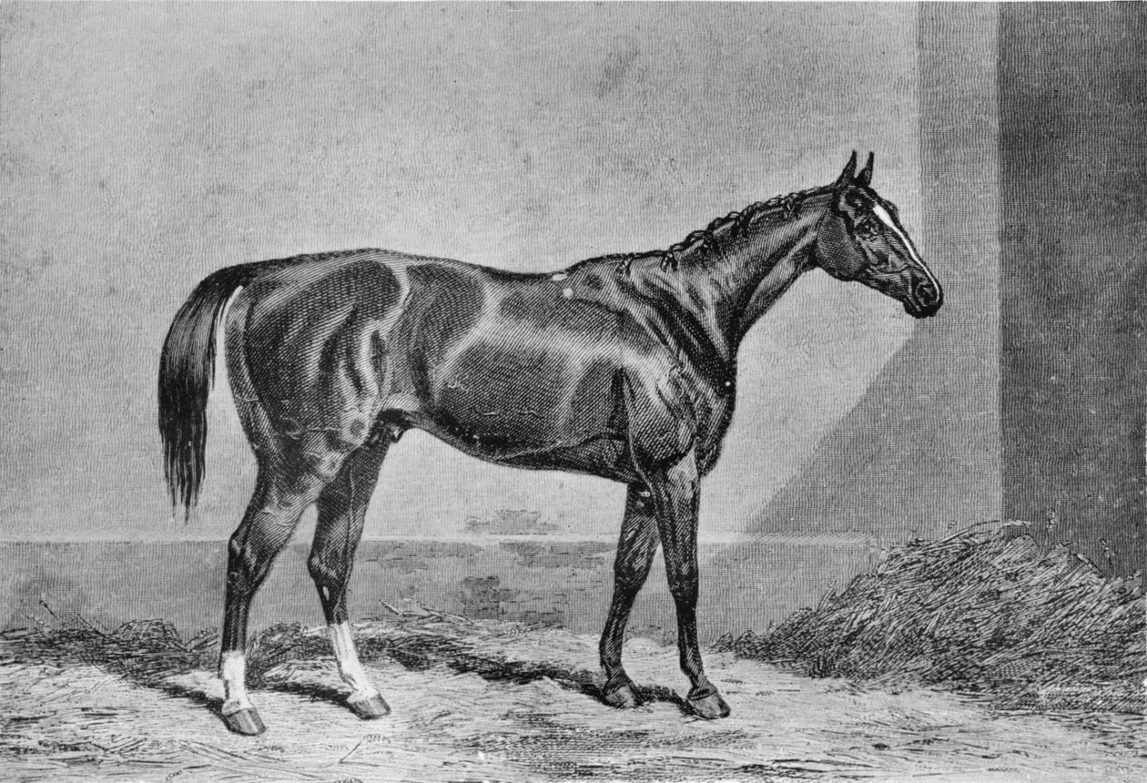 Stockwell, 1849-1871, 1911 av Unbekannt