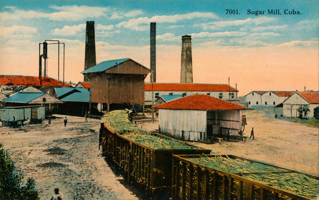 Sockerbruk, Kuba, c1910 av Unbekannt