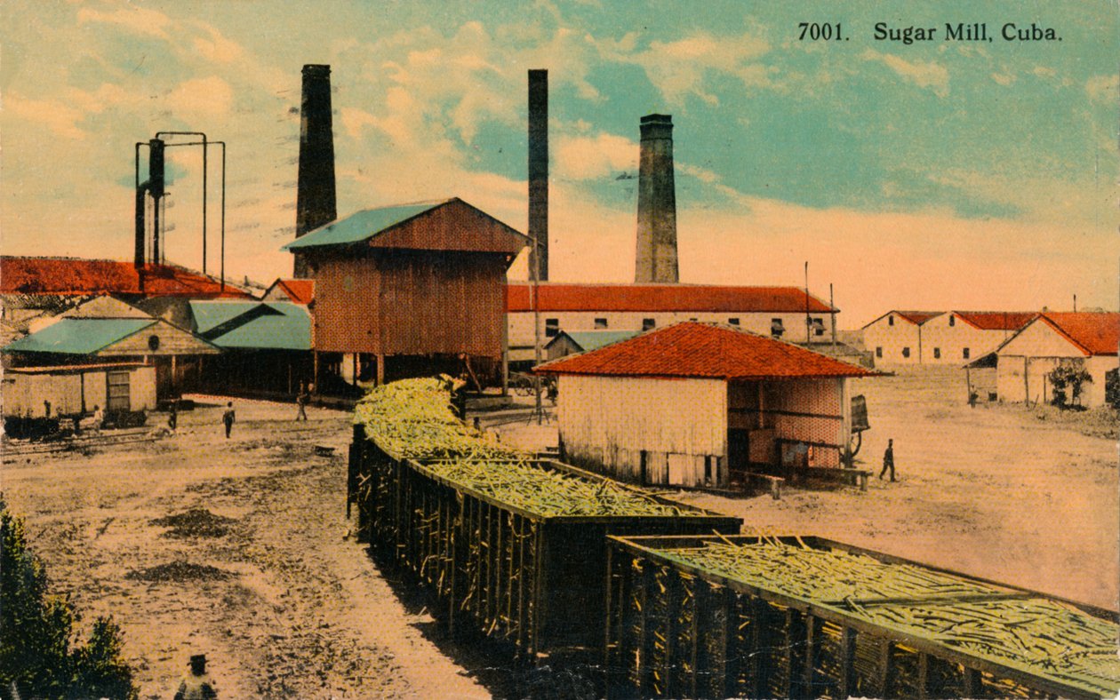 Sockerbruk, Kuba, c1913 av Unbekannt
