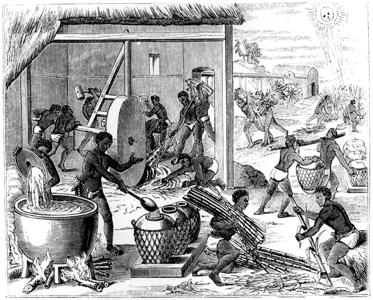Sockerproduktion, 1873 av Unbekannt