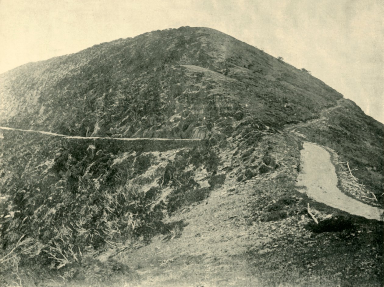 Toppmötet av Mount Blowhard, viktorianska alperna, 1901. av Unbekannt