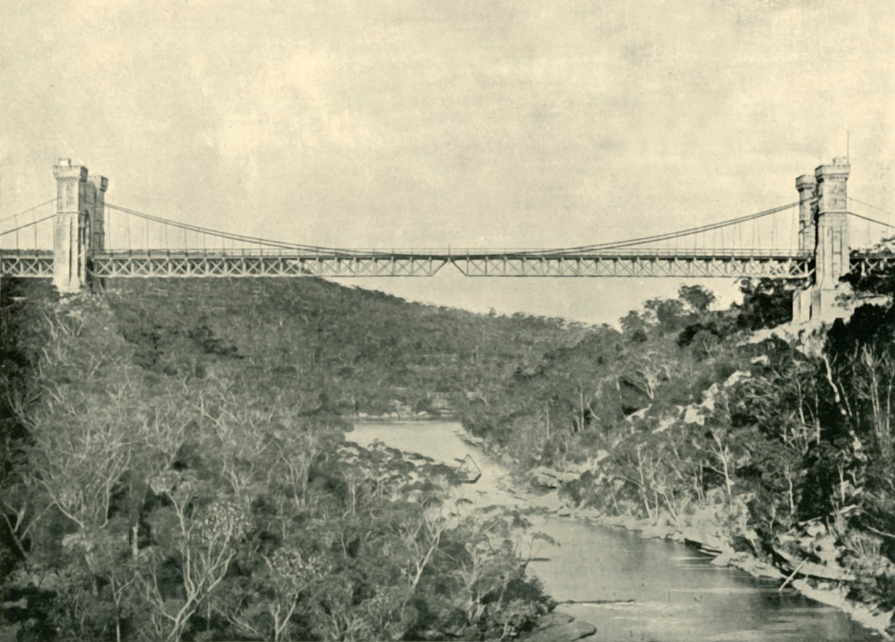 Hängbro, norra Sydney, 1901. av Unbekannt