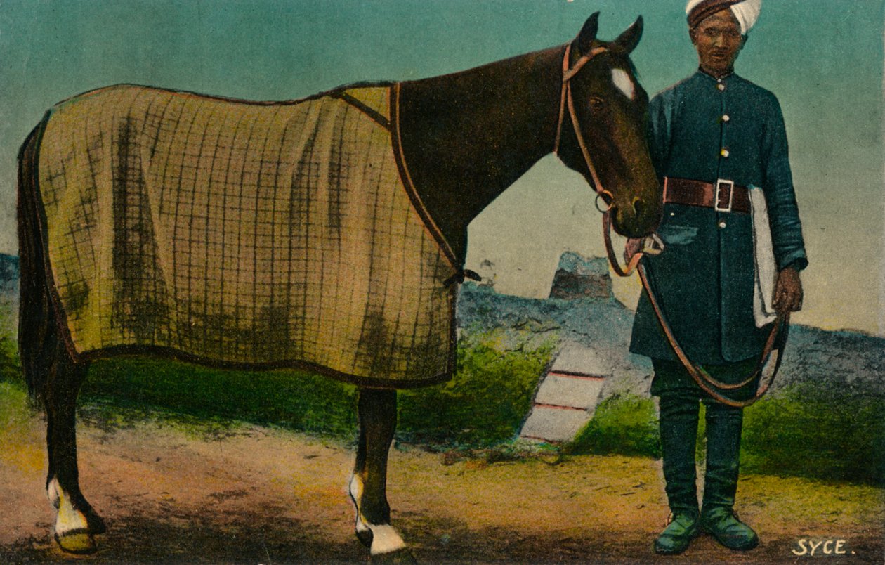 Syce, c1910 av Unbekannt
